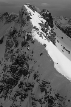 Schneidige Wengenköpfe am Nebelhorn