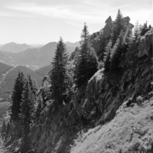 Plattberggrat zum Teufelstättkopf (Ammergebirge) - 12.07.2021