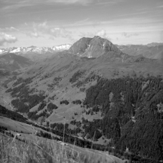 Tauern und Großer Rettenstein (Kitzbüheler Alpen) - 03.07.2021