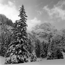 Rontalboden (Hinterriß) - 22.01.2023