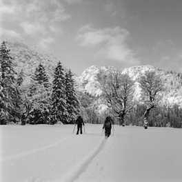 Tourengeher im Rontalboden (Hinterriß) - 22.01.2023