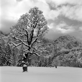 Rontalboden (Hinterriß) - 22.01.2023