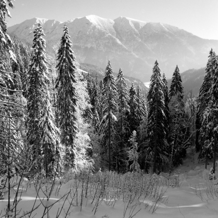 Unteraubachtal und Unnütze (Achenkirch, Tirol) - 07.02.2023