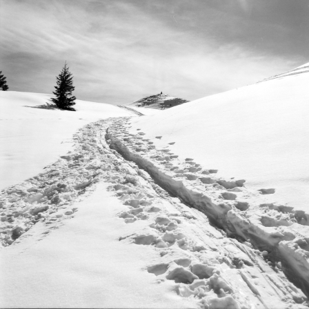 Letzte Skitour zum Joel (Wildschönau, Tirol) - 17.03.2023
