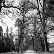 Im Forstenrieder Park (München) - 04.05.2023