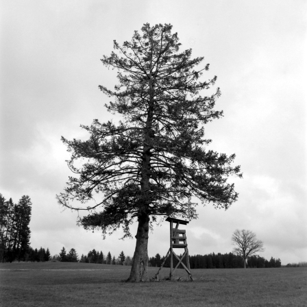 Bei Bertoldshofen (Ostallgäu) - 03.04.2023