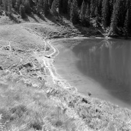 Grünsee bei der Haushamer Alm (Oberbayern) - 13.06.2023