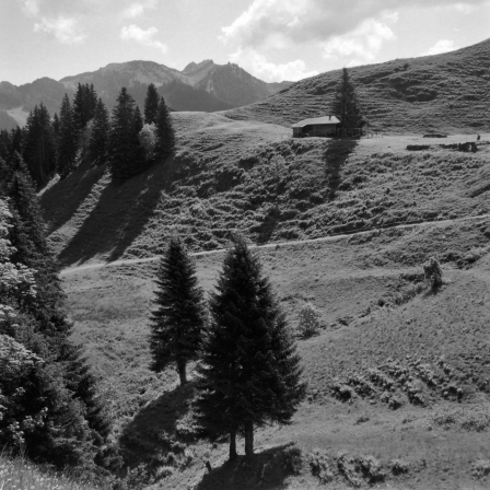 Haushamer Alm am Spitzingsee (Oberbayern) - 13.06.2023