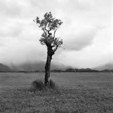 Im Murnauer Moos (Oberbayern) - 03.11.2023