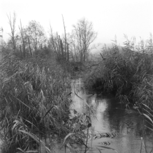 Im Murnauer Moos (Oberbayern) - 03.11.2023