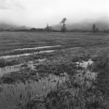 Im Murnauer Moos (Oberbayern) - 03.11.2023