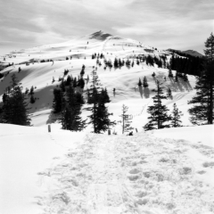 Letzte Skitour zum Joel (Wildschönau, Tirol) - 17.03.2023