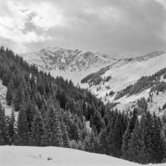 Bei der Hochwildalm (Kitzbüheler Alpen) - 11.11.2023