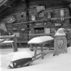 Farmkehralm Niederleger (Inneralpbach) - 17.01.2023