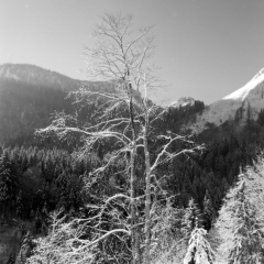 Christlumkopf (Achenkirch, Tirol) - 07.02.2023