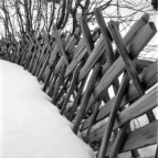 Girschtenzaun an der Farmkehralm (Inneralpbach) - 17.01.2023