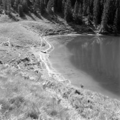 Grünsee bei der Haushamer Alm (Oberbayern) - 13.06.2023