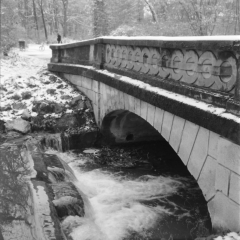 Nördlicher Englischer Garten (München) - 29.11.2023