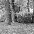 Kottmüllerallee (Murnau, Oberbayern) - 03.11.2023