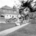 Im Park von St. Ottilien (Oberbayern) - 03.05.2023