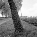 Allee von St. Ottilien nach Geltendorf (Oberbayern) - 03.05.2023