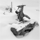 Eingefrorener Brunnen an der Farmkehralm (Inneralpbach) - 17.01.2023