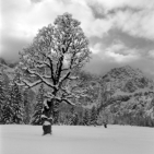 Rontalboden (Hinterriß) - 22.01.2023
