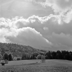 Wanderung um Bellefosse (Nordvogesen) - 19.09.2023