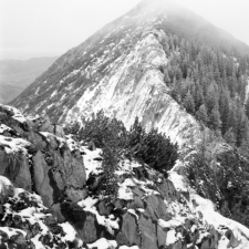 Vorgipfel Brecherspitz (Mangfallgebirge) - 12.03.2023